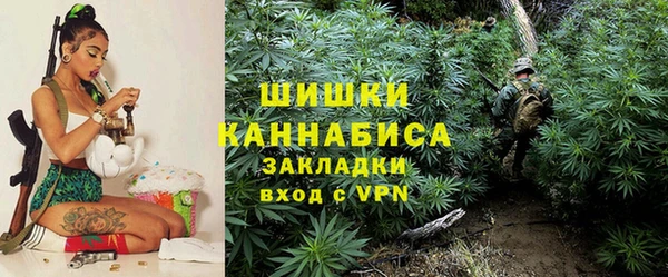 амф Володарск