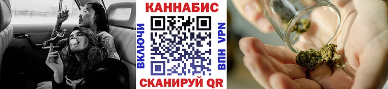 купить наркотик  Жердевка  Бошки марихуана семена 